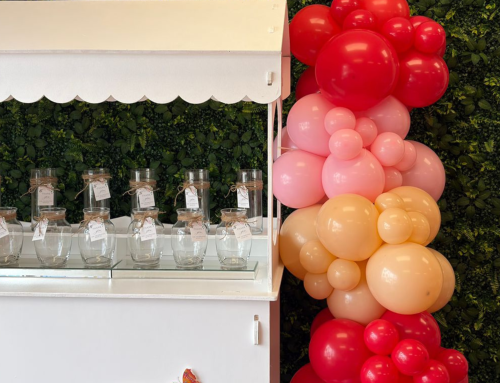 DIY Balloon Garland Kit